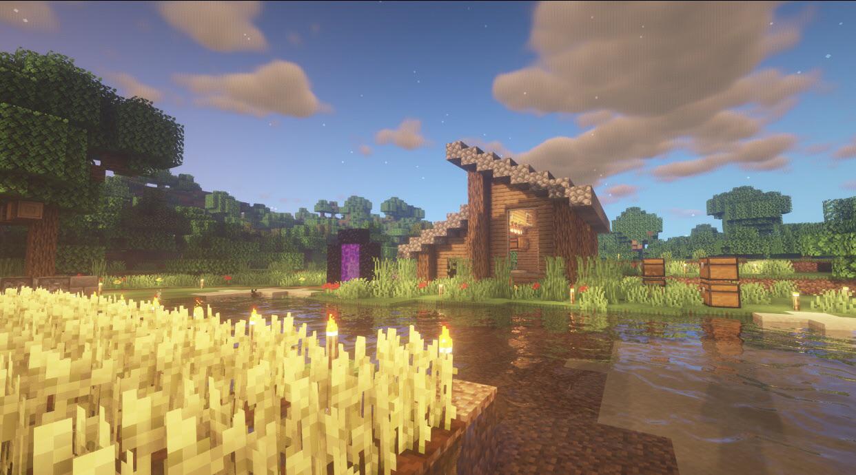 House in minecraft forest